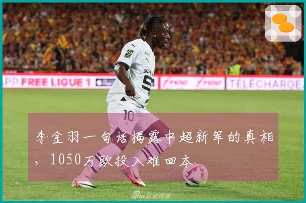 李金羽一句话揭露中超新军的真相，1050万欧投入难回本