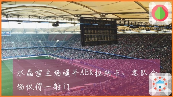 水晶宫主场逼平AEK拉纳卡，客队全场仅得一射门